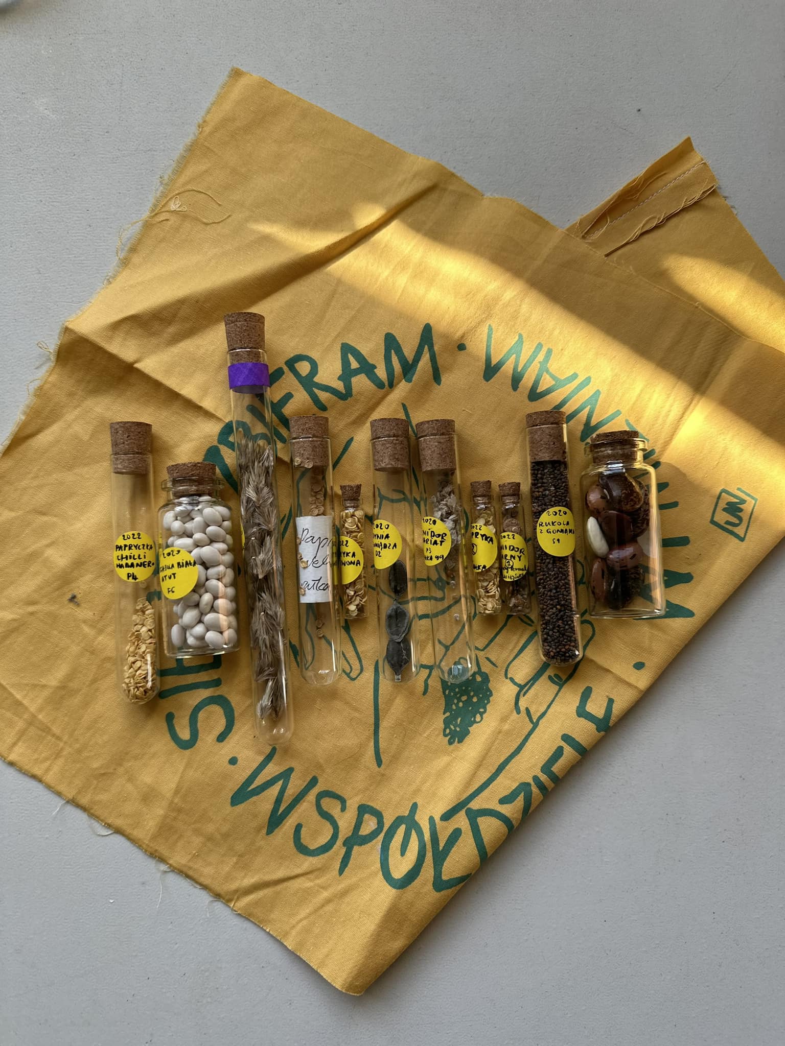 481910428_581658528230951_4133081425608466567_n 481910428_581658528230951_4133081425608466567_n