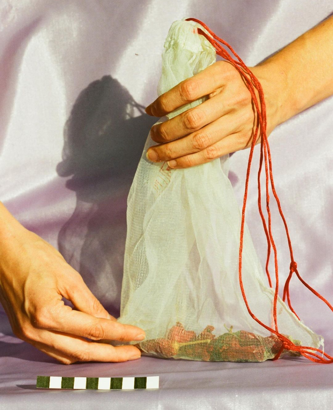 IMG_091291F17D44-1 IMG_091291F17D44-1