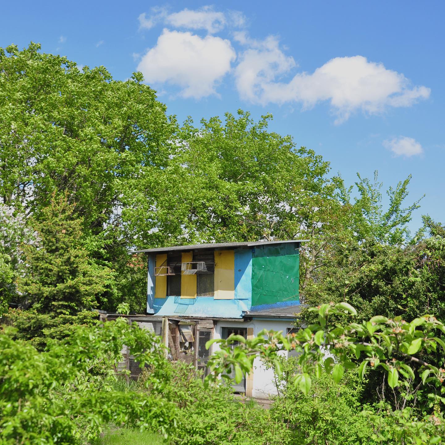 236730239_387030072855741_3222380221223122847_n 236730239_387030072855741_3222380221223122847_n