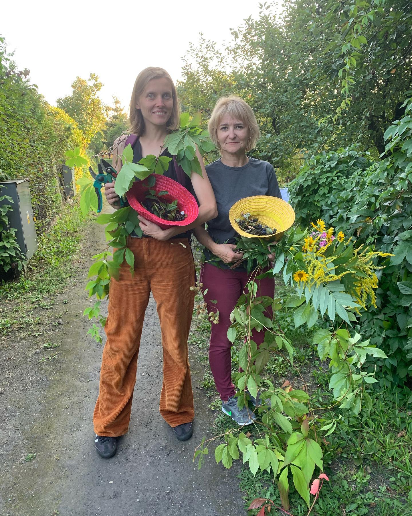 241676163_406571014234980_453079292504693299_n 241676163_406571014234980_453079292504693299_n